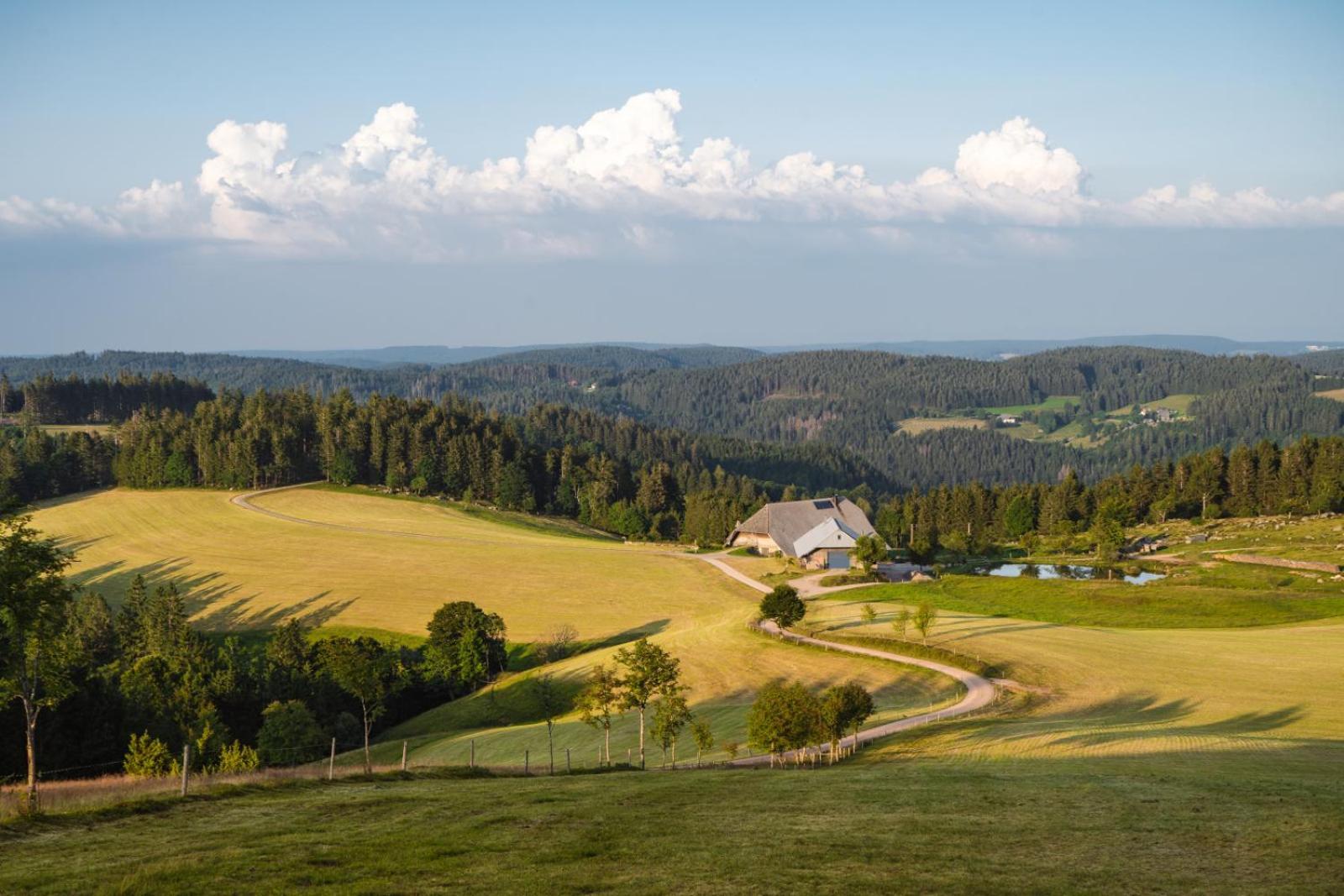 Landhaus Panoramablick Schonach im Schwarzwald Экстерьер фото