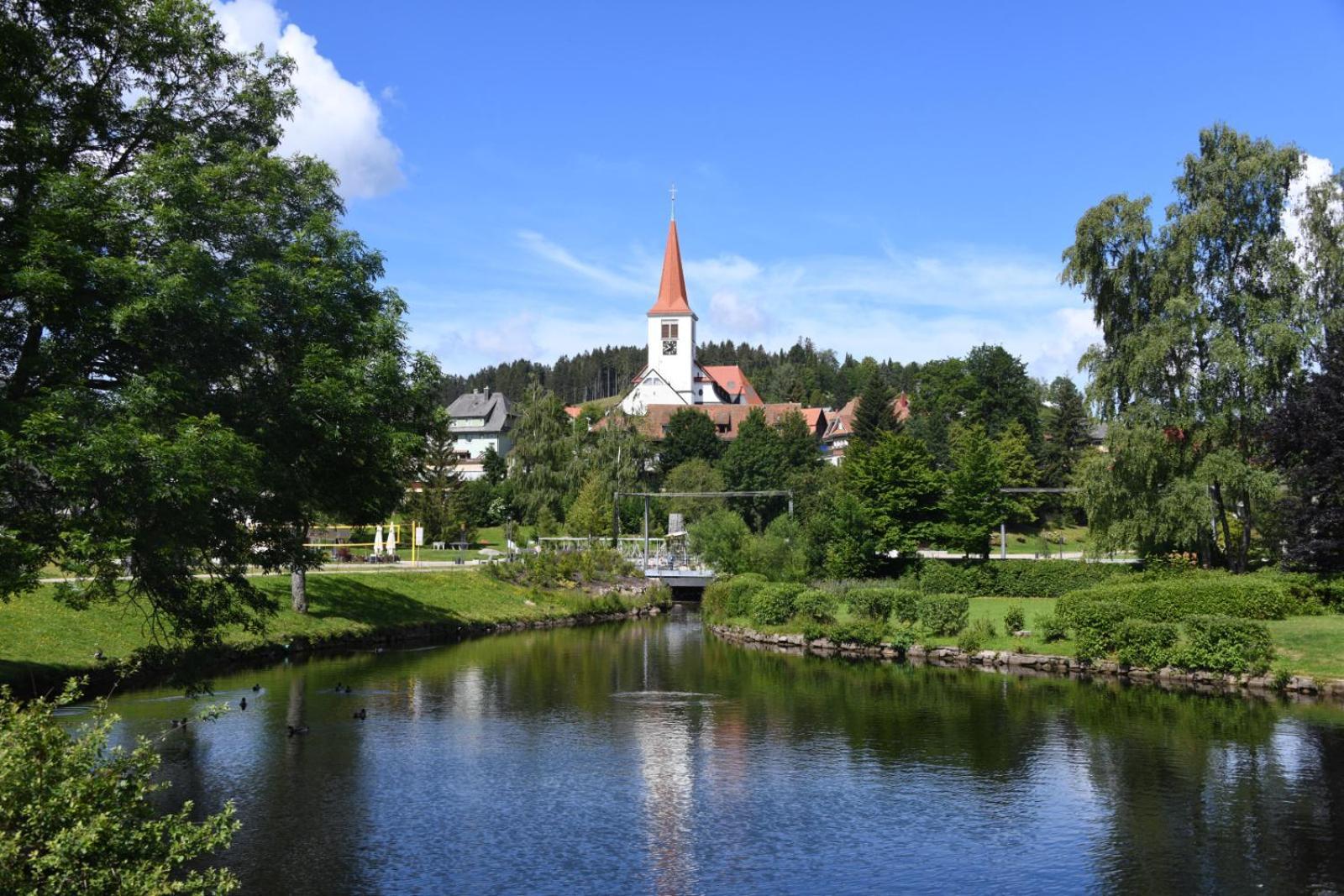 Landhaus Panoramablick Schonach im Schwarzwald Экстерьер фото