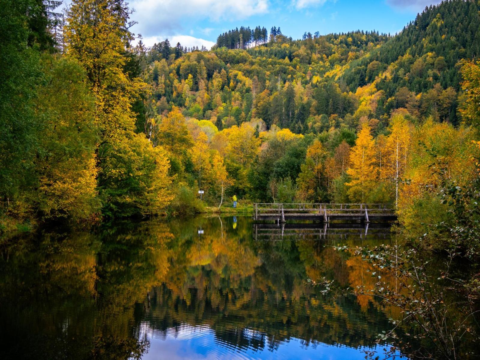 Landhaus Panoramablick Schonach im Schwarzwald Экстерьер фото